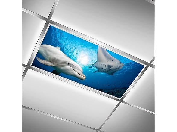 QOROL 2PCS Fluorescent Light Covers