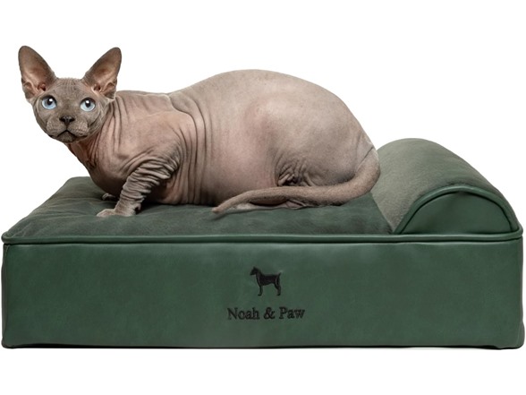 NOAH & PAW Orthopedic Dog Beds- Small