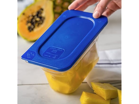 Paddles Carlisle 3058360 Smart Lid Food Pan Lid
