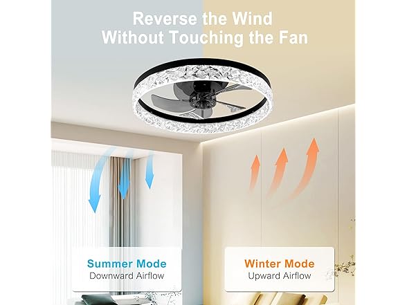 DAMINY Ceiling Fandelier with Lights | 20in