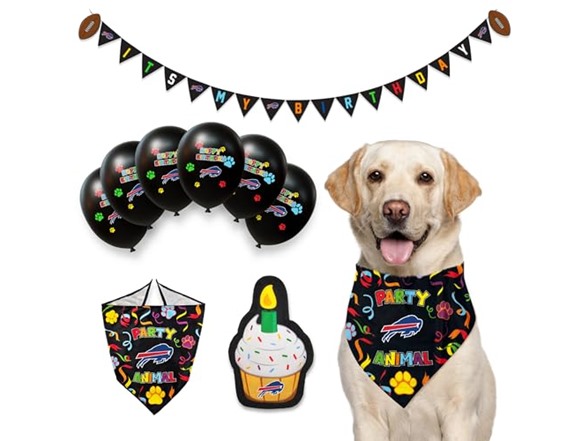 NFL Dog Birthday Party Set