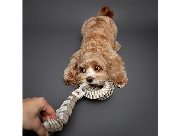 NOAH & PAW Luxury Dog Toy, Dog Rope Toy- Tug Ring, Beige