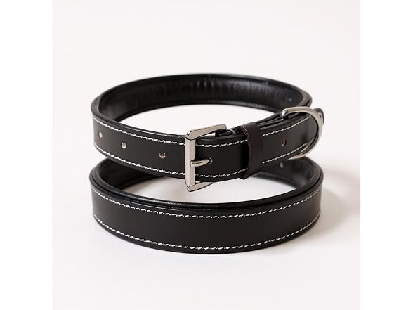 Majestic Ally Soft Leather Dog Collar, Multi