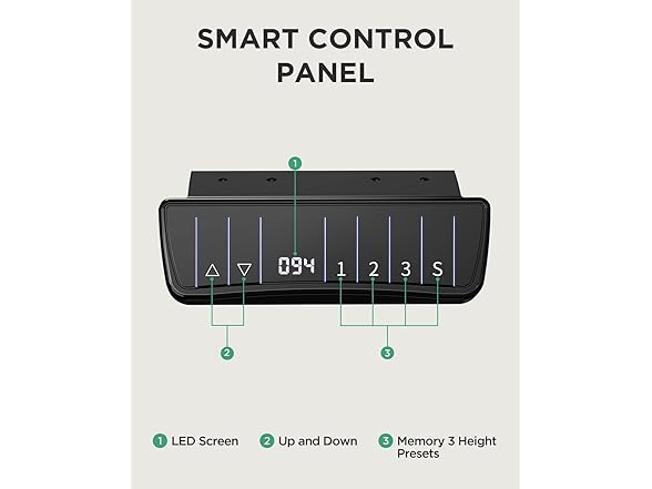 TotnzElectric Standing Desk 55 x 34 inch