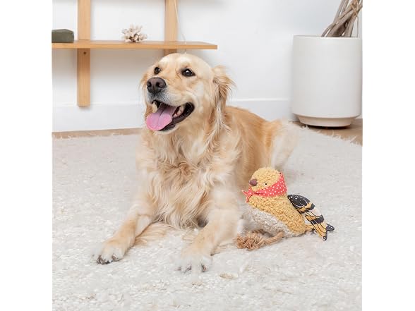 Fringe Studio MS Birdie Mixed Material Dog Toy