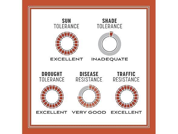 Pennington Bermudagrass Grass Seed 5 lb