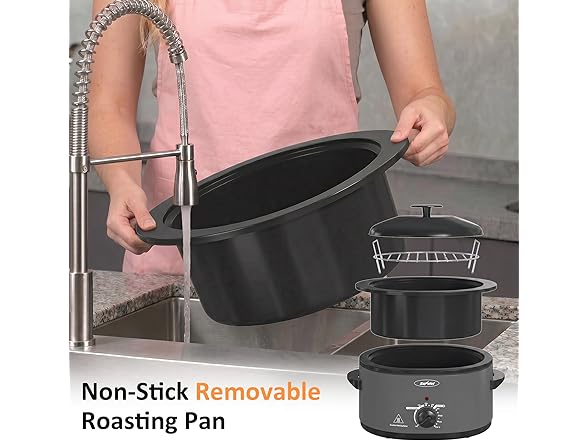 Sunvivi Electric Roaster Oven