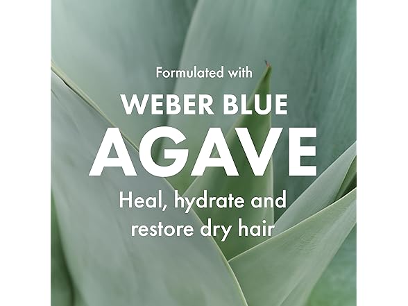 Agave GelWax Flexible Hold Styling Gel