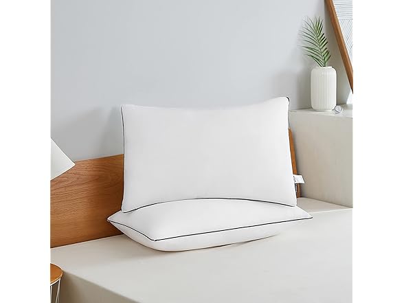 Acanva Bed Pillows for Sleeping 2 Pack