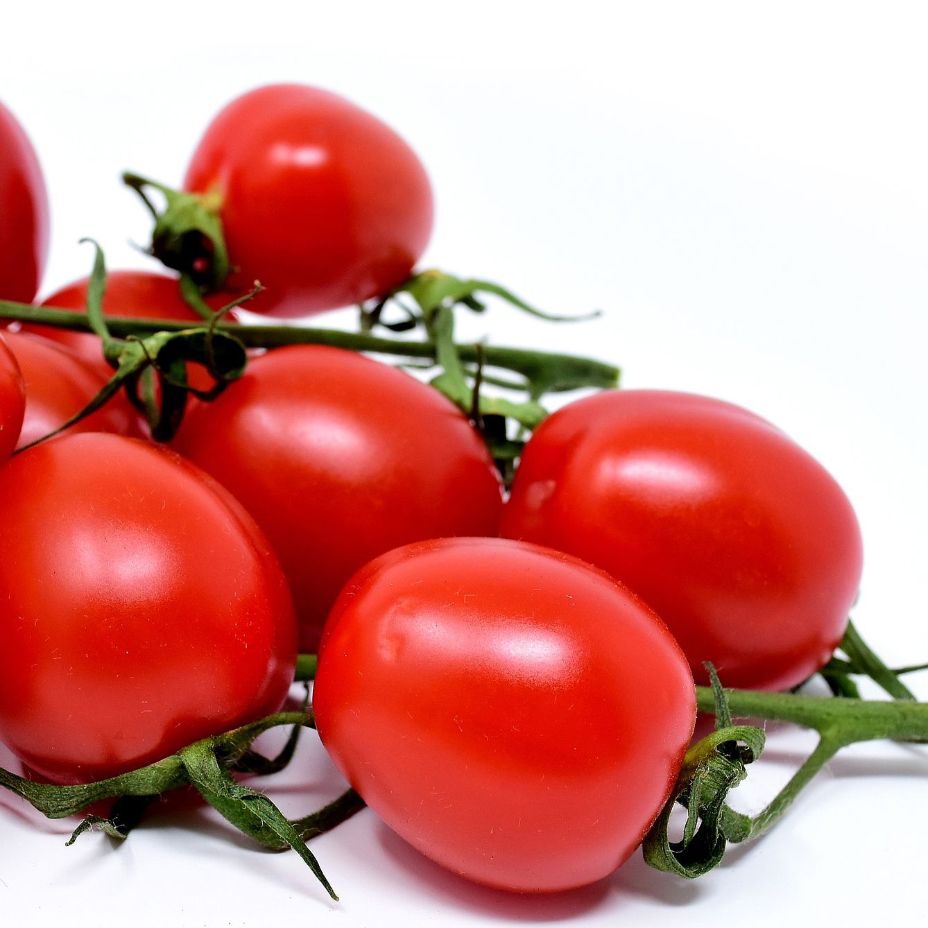 Organic Hanging Planter Bag Kit - Gallery 15