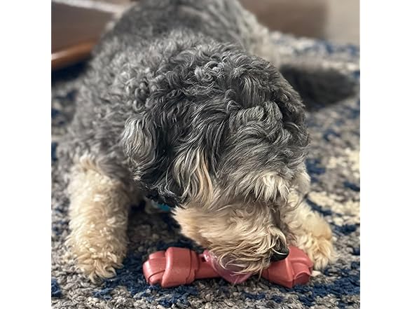 SPOT Bam-Bones Eco Knotted Bone, Beef Flavor