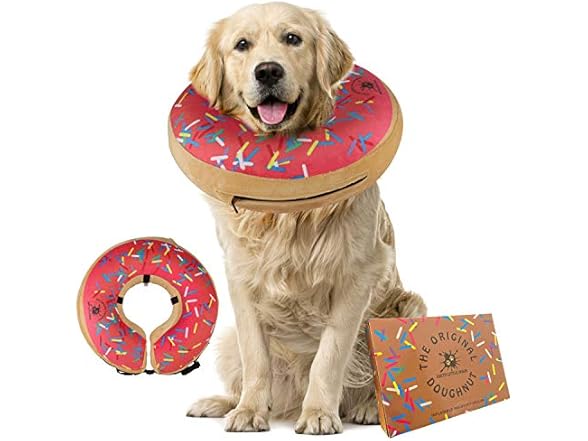 Dirty Little Paws Inflatable Dog Collar