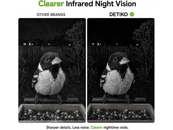 Bamboo Smart Bird Feeder W/ Camera