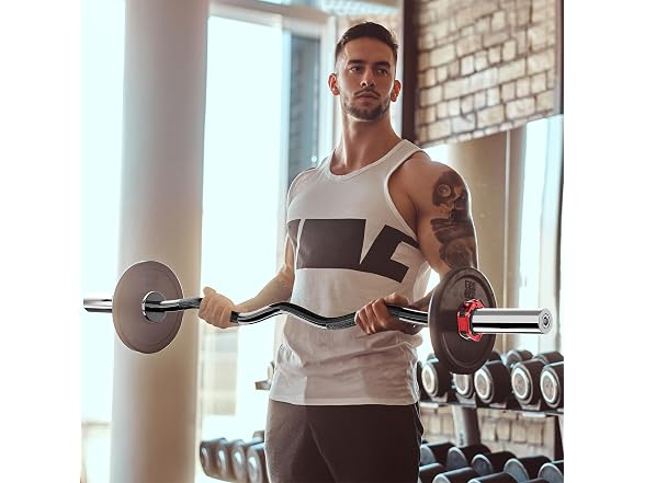 Olympic Barbell EZ Bar Curl Bar