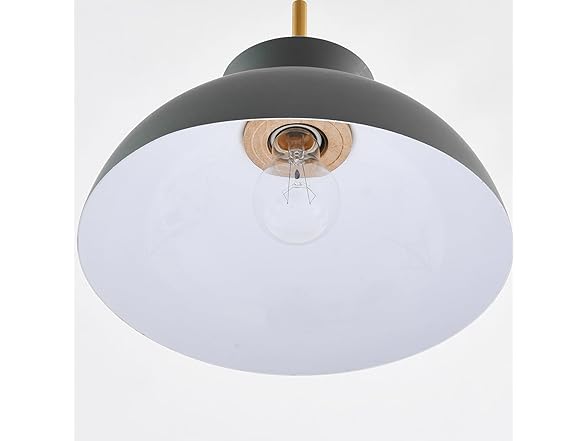 Parrot Uncle 11 Inch Pendant Light Fixture
