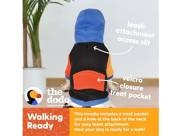 The Dodo Dog Hoodie, Black Colorblock, Size Large