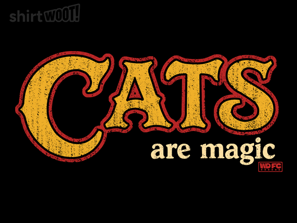 Cats Are Magic!