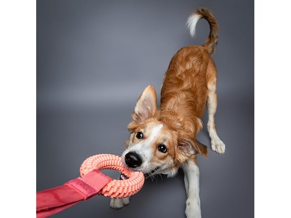 NOAH & PAW Luxury Dog Toy, TPU- Tug Ring, Pink