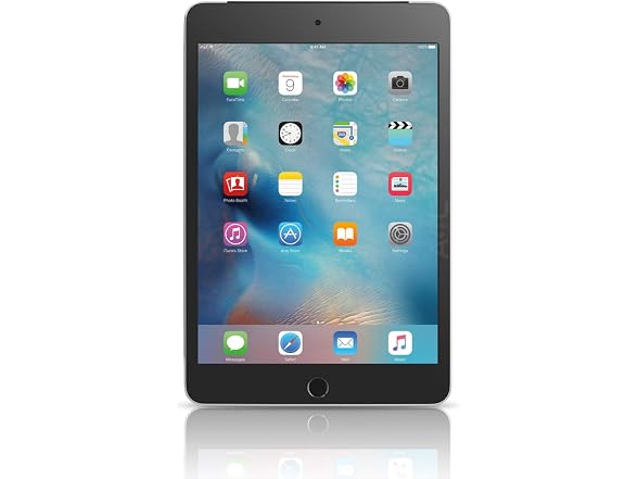 Apple APPLE-MK6J2LLA-16GB-B Apple iPad mini 4 (Wi-Fi, 16GB (Open Box)