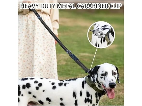 Reflective Shock Absorbing Pet Leashes with Car Seatbelt