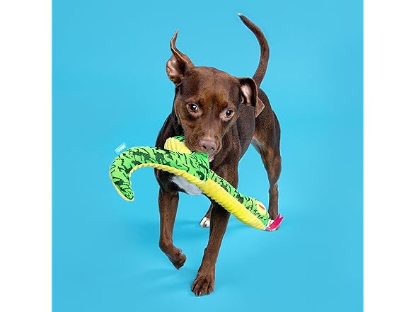 Barkbox Ssssssssteve Dog Toy | Plush Snake