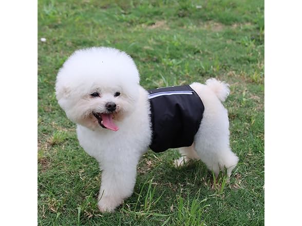Susunyloviy Washable Dogs Diapers Male
