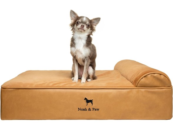 NOAH & PAW Orthopedic Dog Beds- Medium