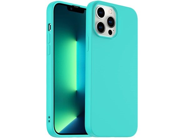 iPhone 13 Pro Max Case