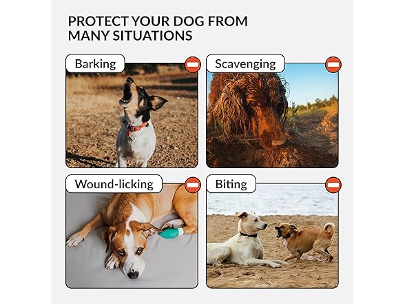 CollarDirect Soft Mesh Dog Muzzle