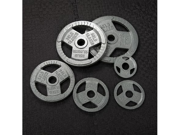 Fitvids Cast Iron Plate Weight Plate– 10LB (Pair)