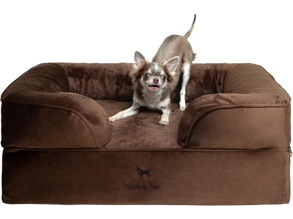 NOAH & PAW Dog/Cat Sofa- Medium