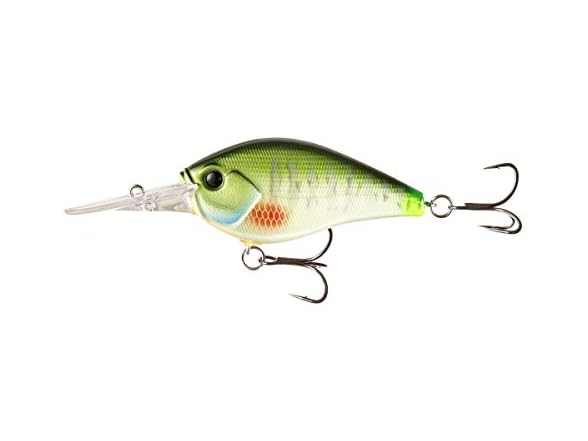  Cliff Banger Dream Gill
