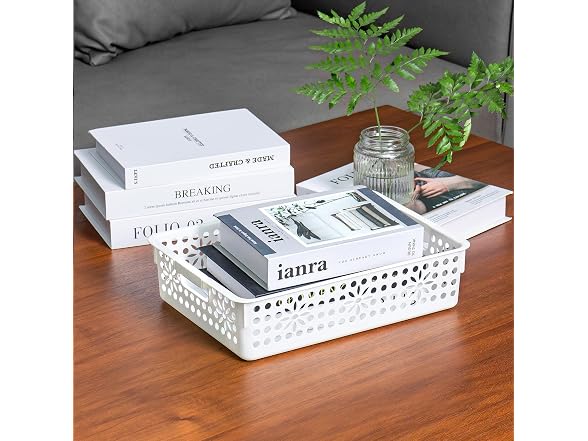 Cetomo Plastic Storage Box, 6-pack