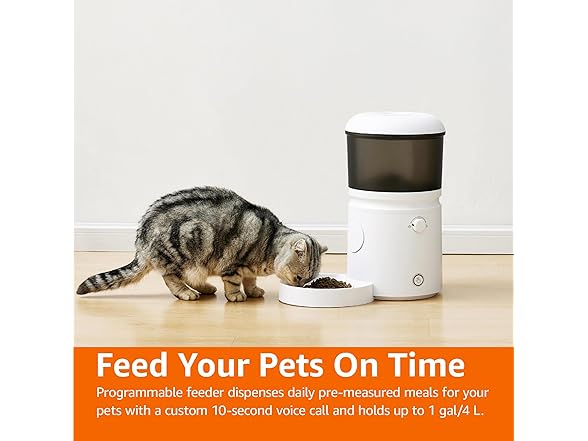 Amazon Basics Automatic Pet Feeder, 4L