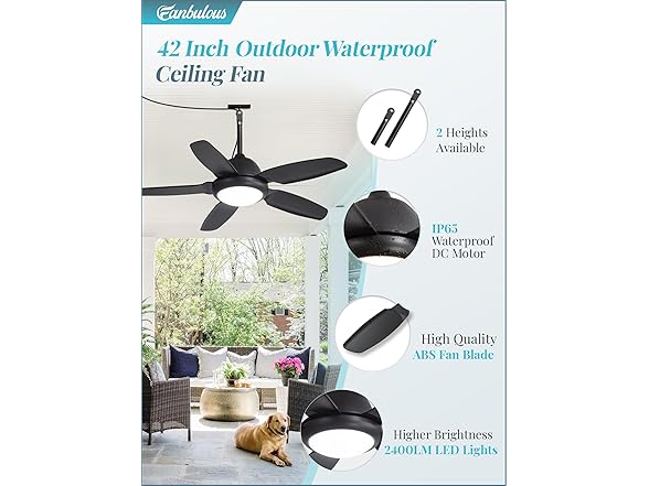 Fanbulous Outdoor Ceiling Fan with Lights