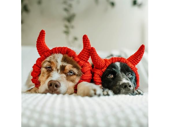 Zoo Snoods Red Devil Dog Costume