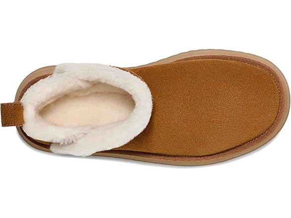 Chestnut
