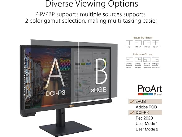 ASUS ProArt PA24US 24" Monitor
