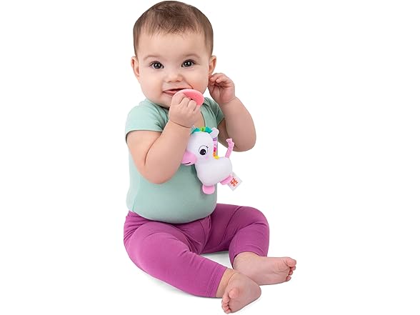 Bright Starts SootheMate Plush Baby Teether Toy