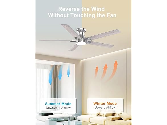 DAMINY Ceiling Fan | 52 in Modern