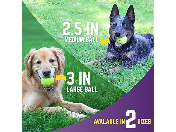 Chew King Supreme Rubber Fetch Balls 2Pk