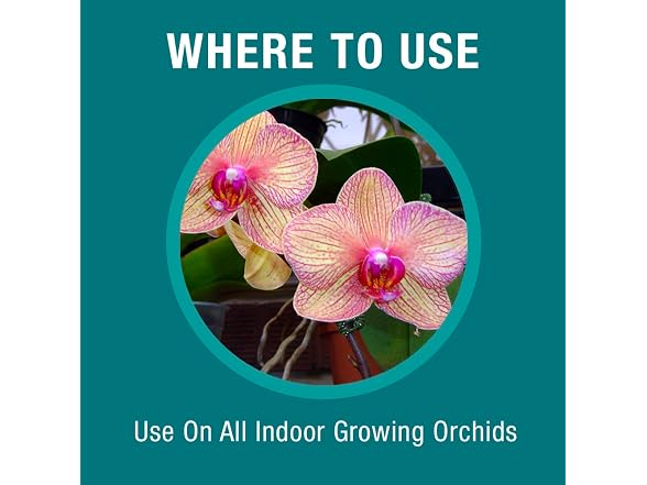 Baby Bio Orchid Food Concentrate, 3 Pack