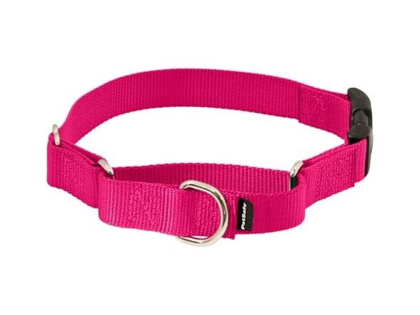 PetSafe Martingale Quick-Snap Dog Collar, Raspberry Large