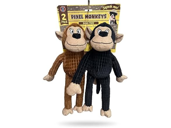 Bow Wow Pet 2 Pack Plush Dog Toy with Squeaker & Crinkle