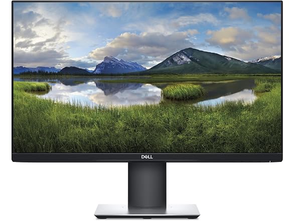 Dell P2419H 23.8" Monitor