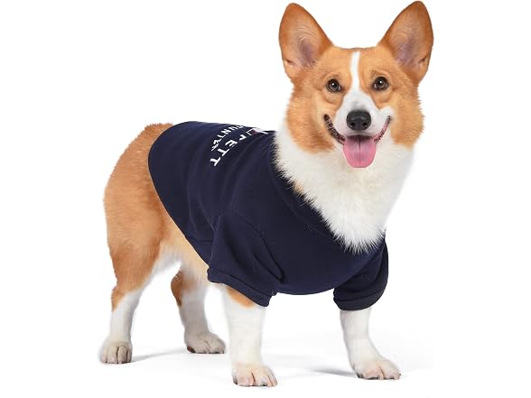 Star Wars for Pets Boba Fett Dog Hoodie, Extra Small