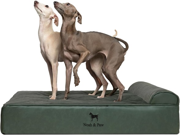 NOAH & PAW Orthopedic Dog Beds- Large