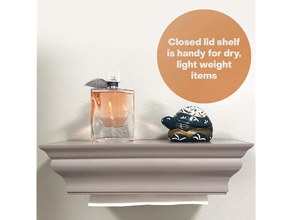 HealthyShelf Gray ABS Plastic MultiFold Paper Disp