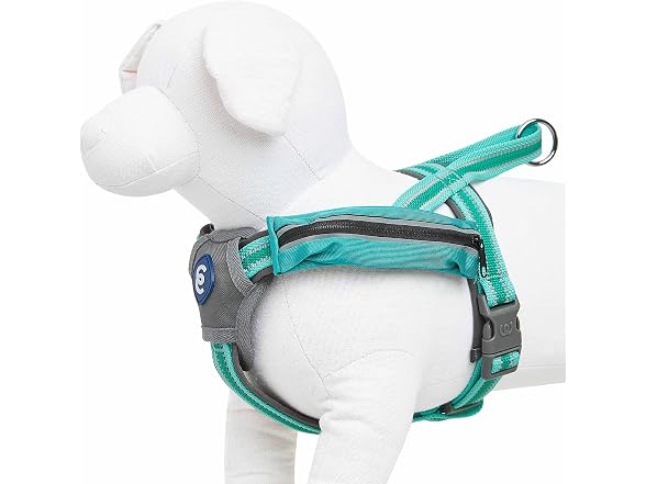 Blueberry Pet Essentials Reflective Back to
