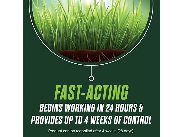Scotts Turf Builder Healthy Plus Lawn Food